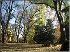 foto Giardini di Porta Venezia